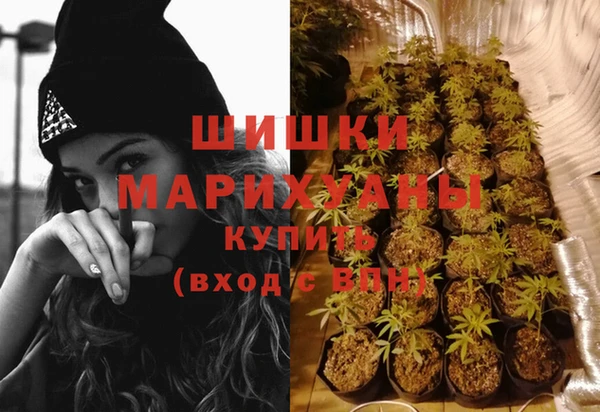 мяу мяу мука Белокуриха